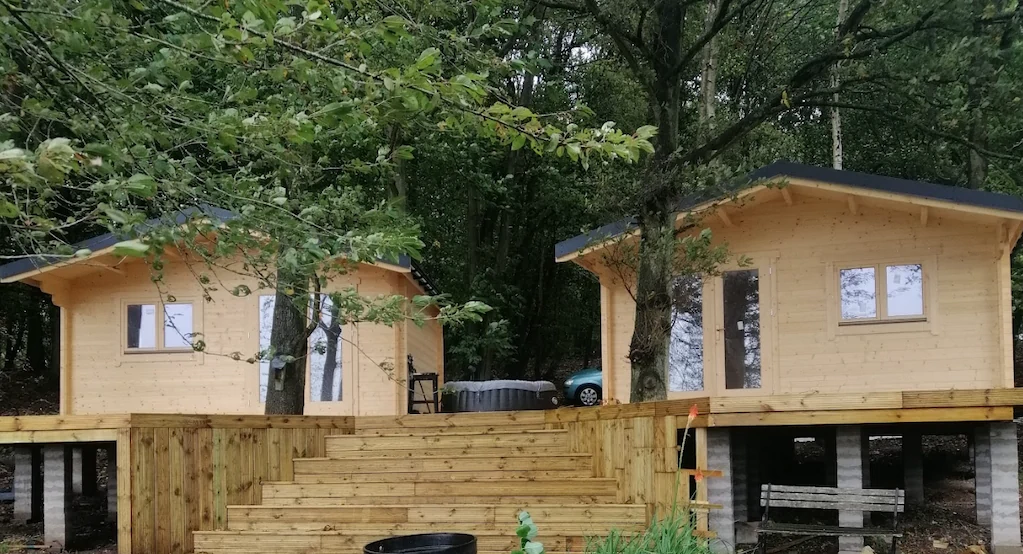 Real Project: Twin Cabins in the Woods – Creating a Profitable Glamping Retreat